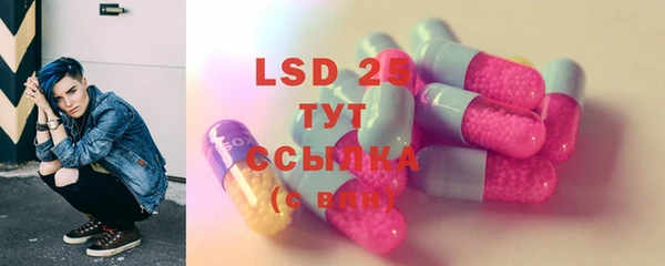 прущие грибы Калач